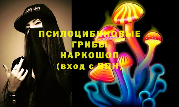 а пвп мука Алзамай