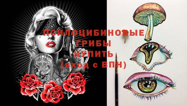 а пвп мука Алзамай