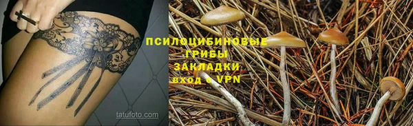 стаф Алексеевка
