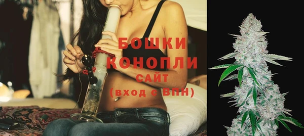 шишки Протвино