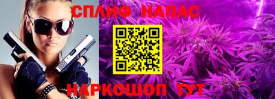 a pvp Моздок