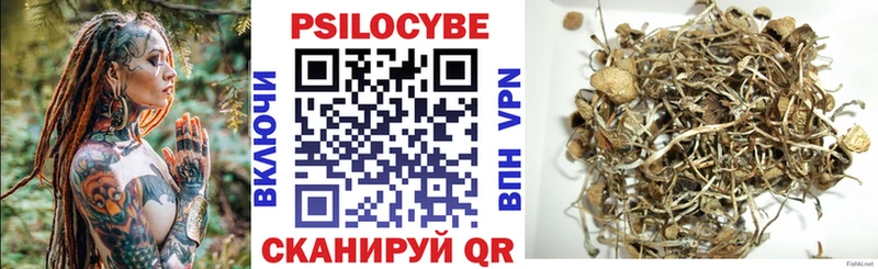 закладка  Добрянка  Псилоцибиновые грибы GOLDEN TEACHER 