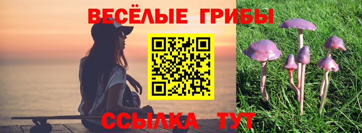 Псилоцибиновые грибы GOLDEN TEACHER Добрянка